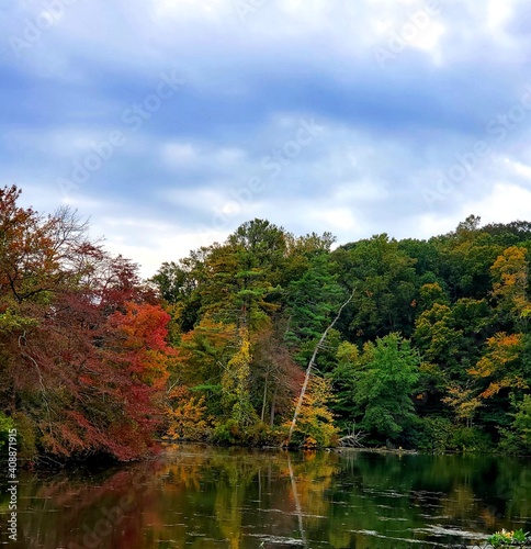 Autumn Pond