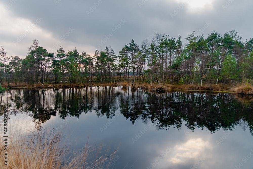 Obraz premium Pietmoor in der Lüneburger Heide Moor 
