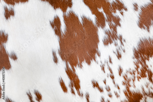 фотографія Texture of a brown spotted cow coat