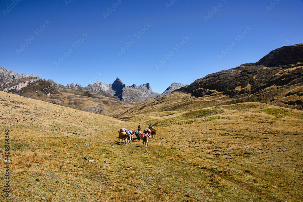 Muleteers along Cordillera Huayhuash circuit, Ancash, Peru