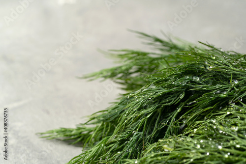 Dill greens in water drops on gray background. Close up, copy space