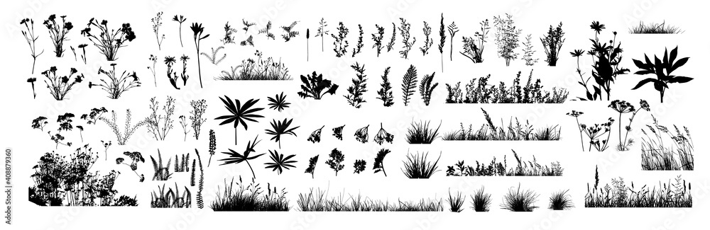 The silhouette of the grass big set. Vector illustration