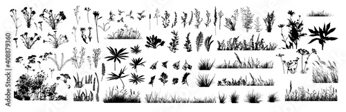 The silhouette of the grass big set. Vector illustration photo