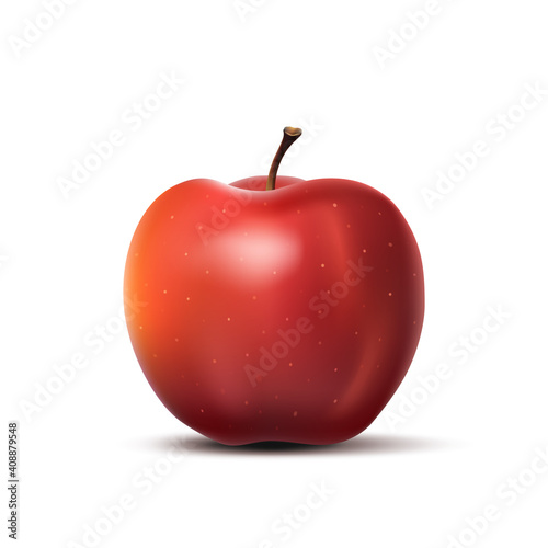 Red apple isolated on white background. Vector illustration realistic