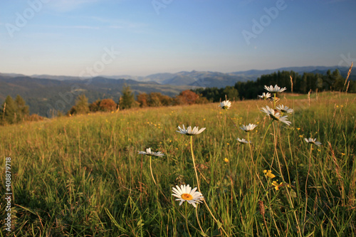 Landscape of Gorce National Park  Poland