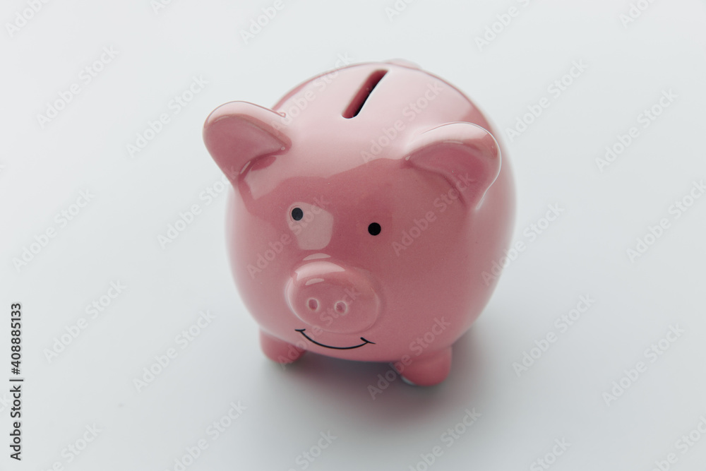 Finance, saving money concept. Piggy bank on a white background.
