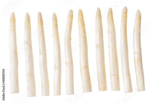 Fresh white asparagus isolated on white background.