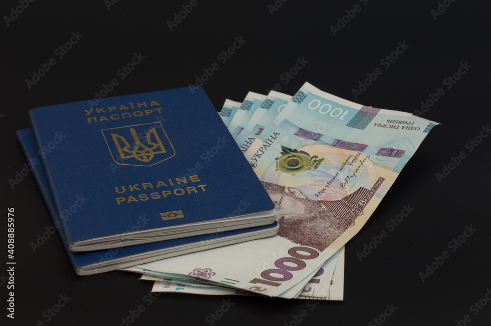 Fototapeta premium passport and money 