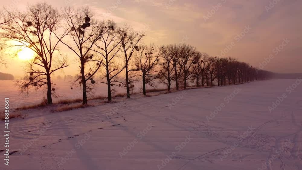 Flying over a snow-covered field towards a dirt road lined with poplar trees and the warm rising sun. Aerial winter scenery. Flying over a snow-covered field towards a dirt road lined with poplar trees and the warm rising sun. Aerial winter scenery.
