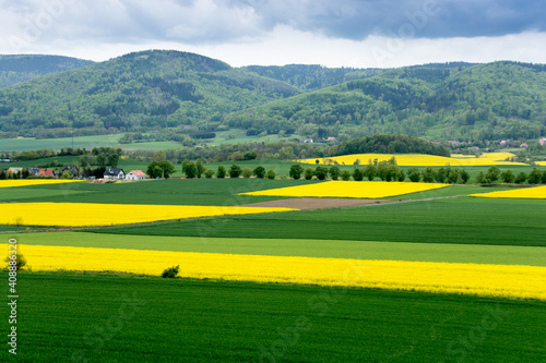 zielone i żółte (rzepak) pola uprawne na pierwszym planie, w tle góry i niebiesko-szare niebo ponad nimi