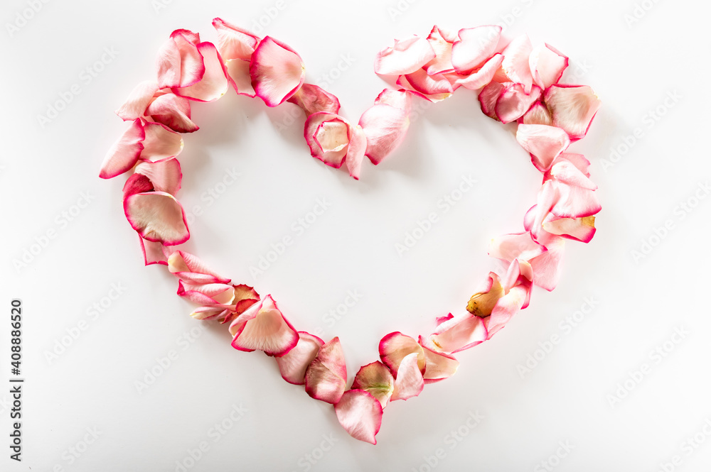 Heart shaped rose petals. Heart made of flowers on a white background. Lovers