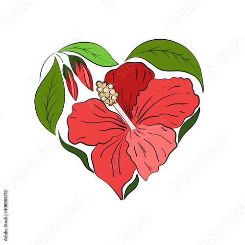 Heart-shaped composition of red hibiscus flowers, green leaves, isolated on white background.