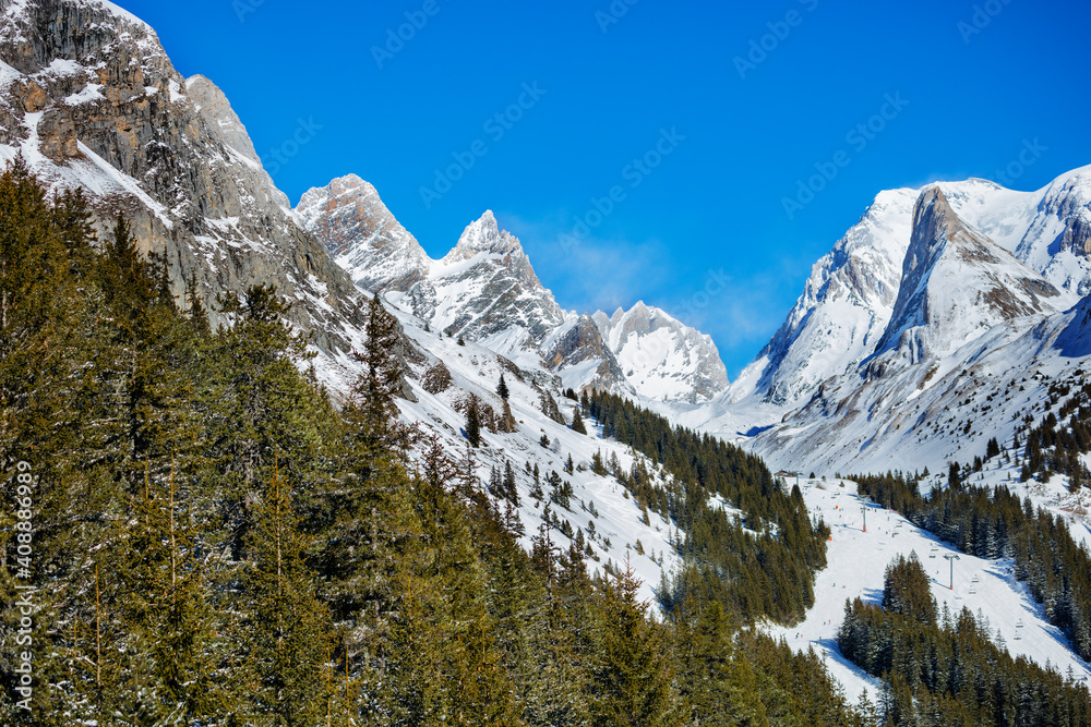 Green fir forest and French Alps summits on background