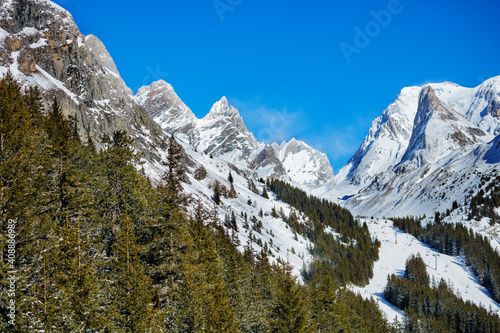 Green fir forest and French Alps summits on background