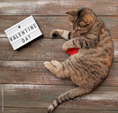 Cute cat with paper hearts on wooden background