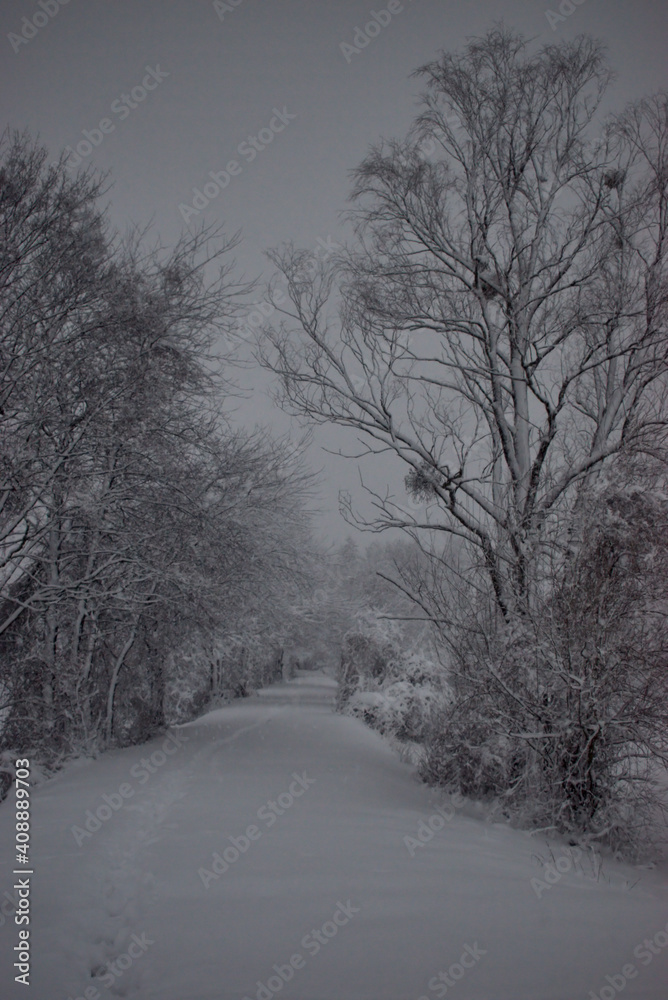 Starker Schneefall in Vaduz in Liechtenstein 14.1.2021