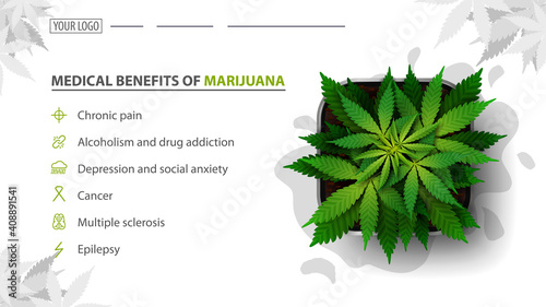 Medical benefits of marijuana, white baner for website with bush of cannabis in a pot, top view. Benefits uses of medical marijuana