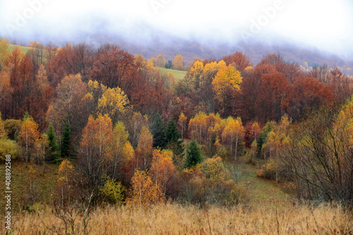 Autumn forest in the fog, view from Wyzna Pass, Bieszczady National Park, Poland