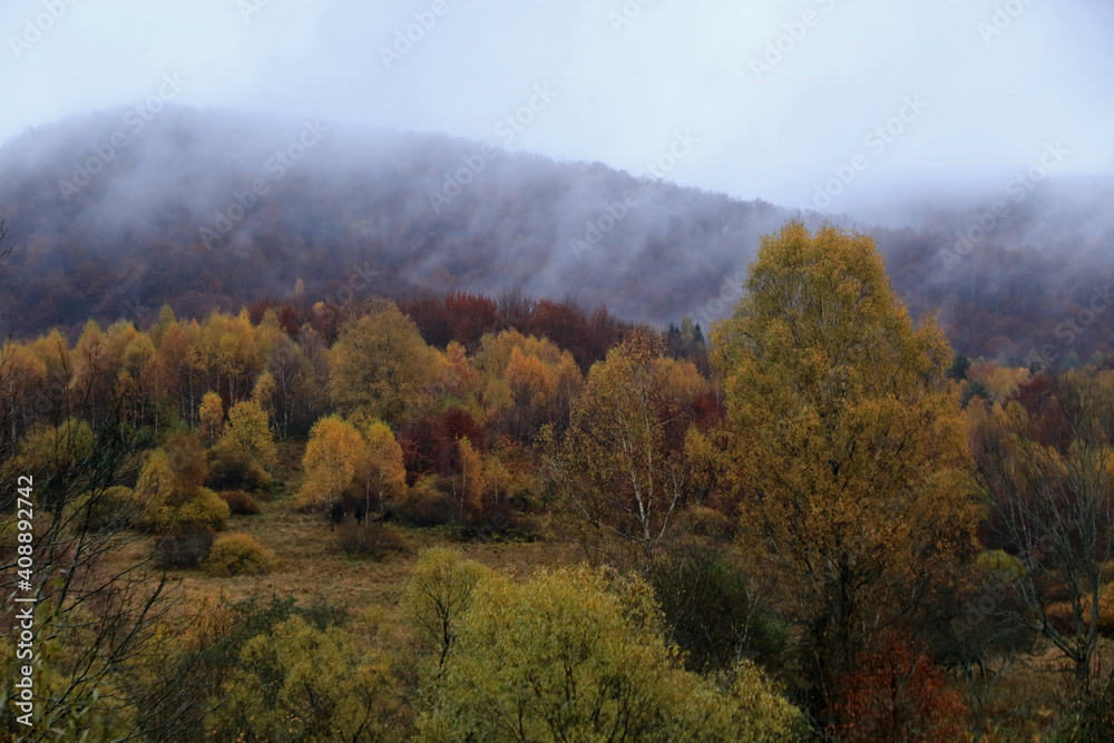 Autumn forest in the fog, view from Wyzna Pass, Bieszczady National Park, Poland Autumn forest in the fog, view from Wyzna Pass, Bieszczady National Park, Poland