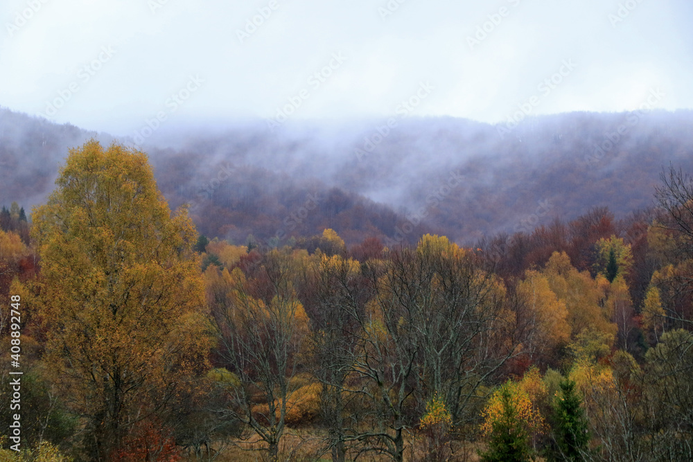 Autumn forest in the fog, view from Wyzna Pass, Bieszczady National Park, Poland