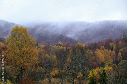 Autumn forest in the fog, view from Wyzna Pass, Bieszczady National Park, Poland