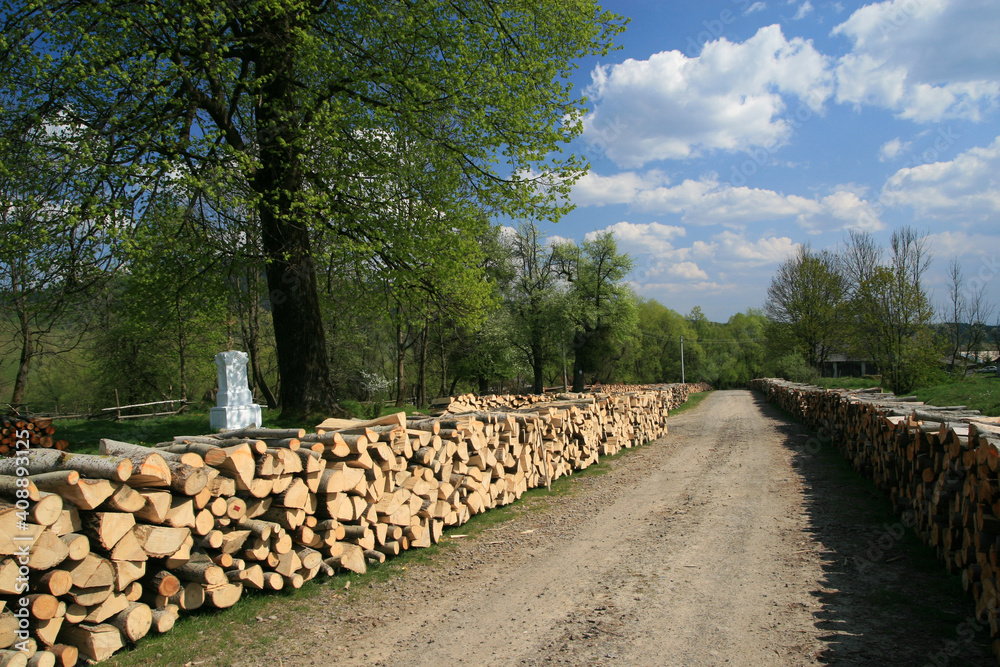 Pile of wooden logs in Bystre village, Bieszczady Mountains, Poland