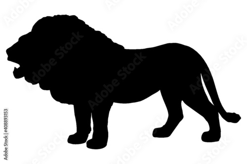Vector silhouette of an African lion in black and white. photo