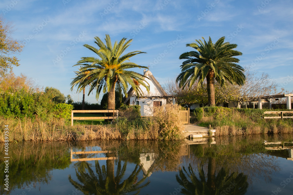 View of a traditional Valencian house on the edge of a lagoon in a natural park among palm trees