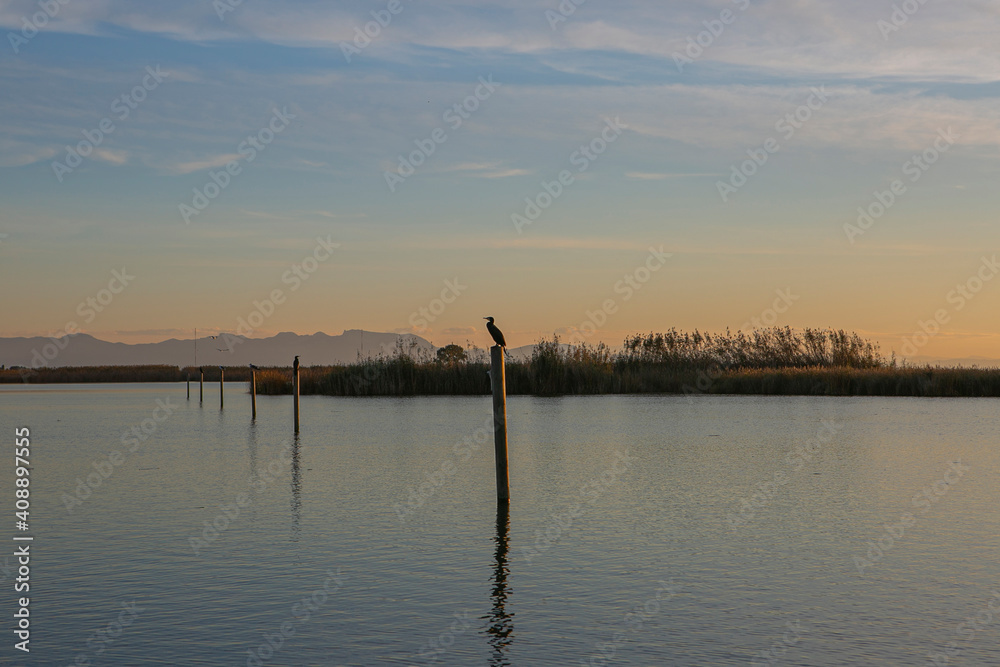bird on a wooden post in a pond at sunset