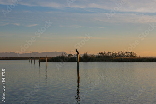 bird on a wooden post in a pond at sunset © Javier