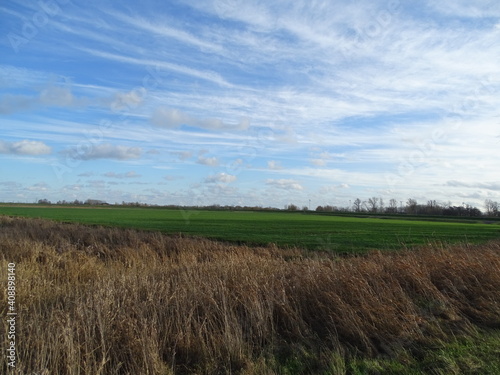 Green Blue Landscape