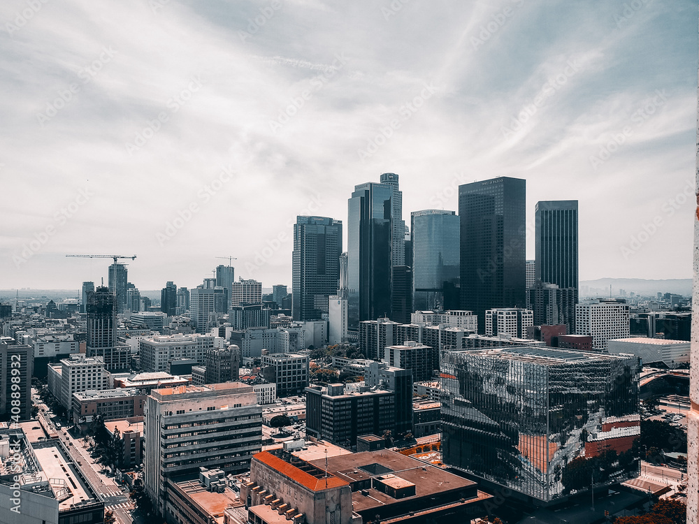 Obraz premium large city skyline and buildings