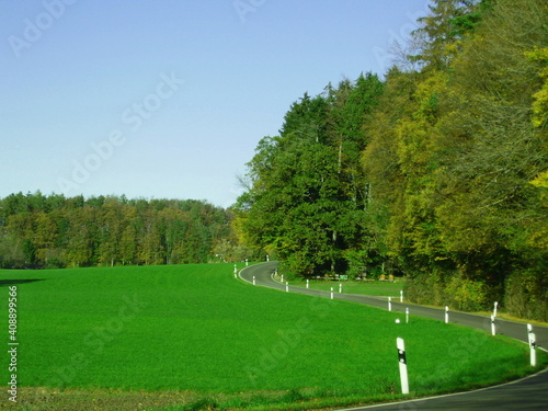 grass and trees curve road