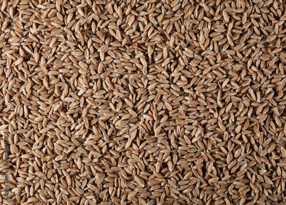 Spelt grain background and texture Spelt grain background and texture