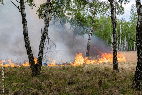 Waldbrand in Brandenburg