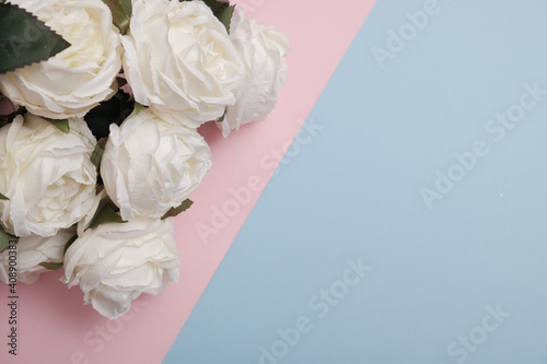 Bouquet of white roses on a two color, pink and blue paper background. Love holiday greeting card. Flat lay modern concept. Copy space. © DaliCeMedia
