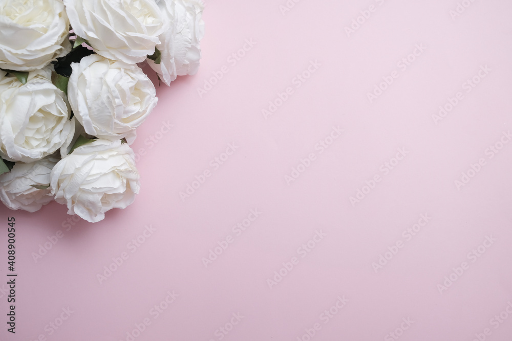 White roses on a pink background isolated. Love and Valentine's concept. Women's day gift card with copy space.