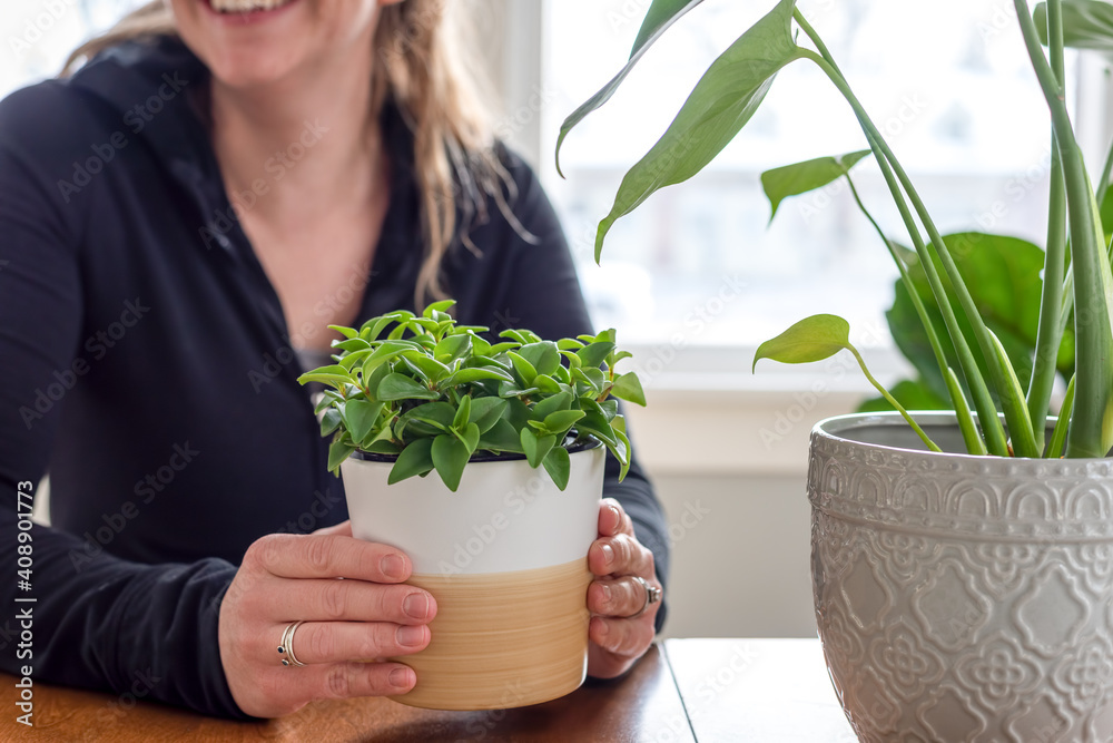 Smiling young woman holding a potted plant Smiling young woman holding a potted plant