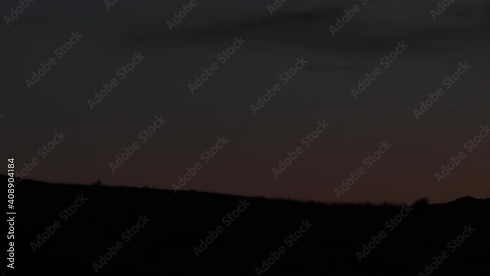 Elk in the Canadian Rockies