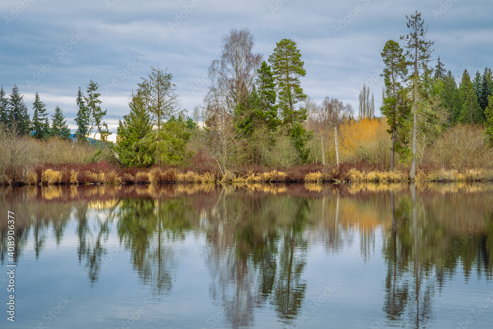 2021-01-27 LARSEN LAKE IN BELLEVUE WASHINGTON WITH EVERGREENS ON HTE SHORE AND A REFLECTION IN THE LAKE