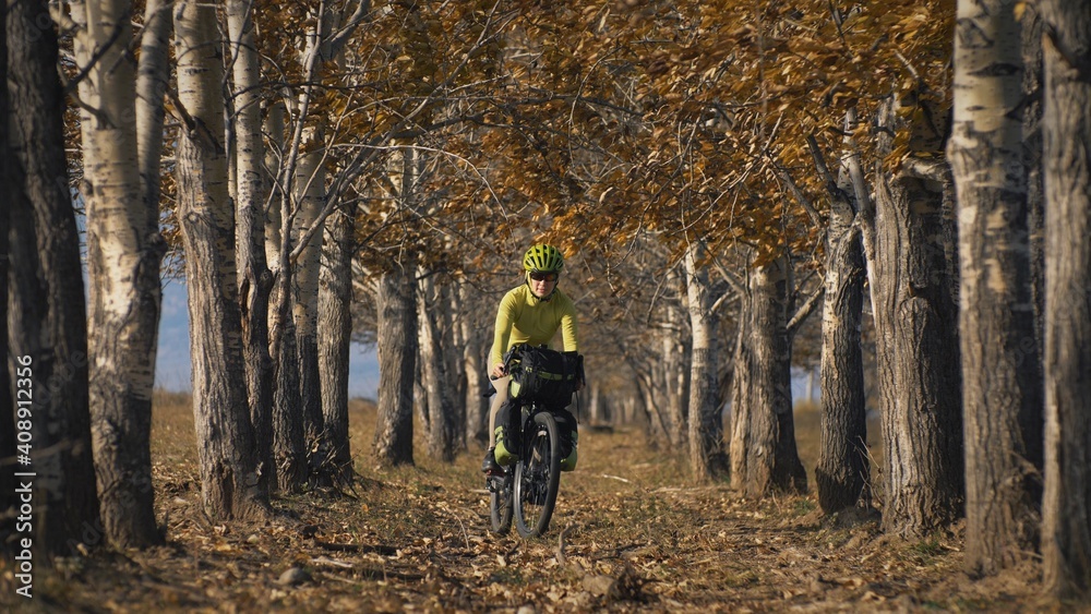 The woman travel on mixed terrain cycle touring with bikepacking. The traveler journey with bicycle bags. Sportswear in green black colors. The trip in magical autumn forest, arch, alley, avenue. The woman travel on mixed terrain cycle touring with bikepacking. The traveler journey with bicycle bags. Sportswear in green black colors. The trip in magical autumn forest, arch, alley, avenue.