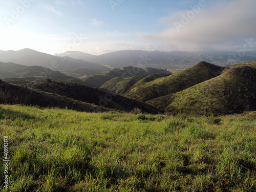 Lush spring grass in the Si...