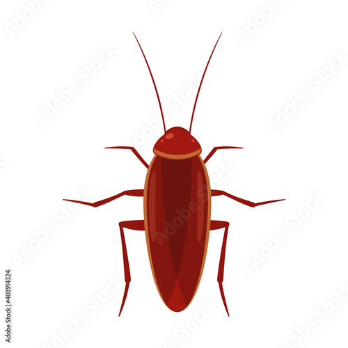 The brown cockroach. Isolated Vector Illustration