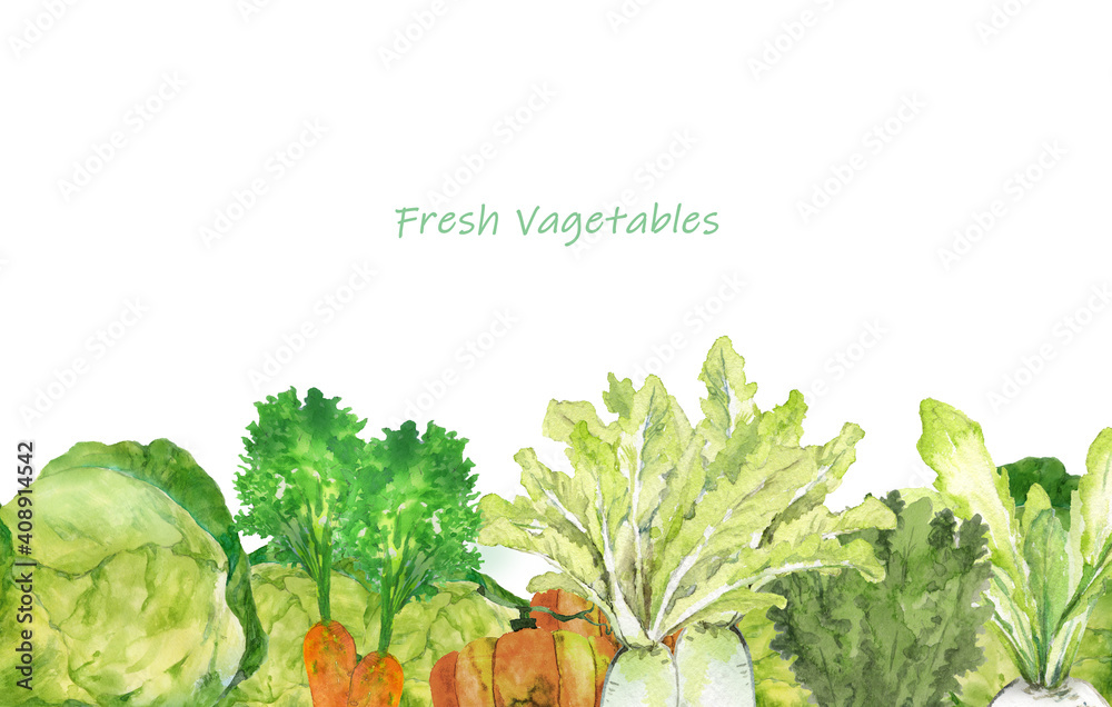 水彩の野菜畑 白背景 Stock Illustration Adobe Stock