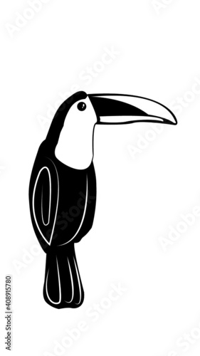 Tucán en blanco y negro