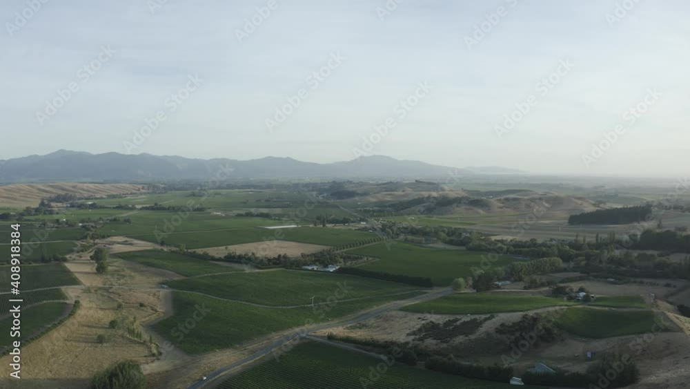 High wide overlook of Marlborough vineyards during a golden afternoon High wide overlook of Marlborough vineyards during a golden afternoon