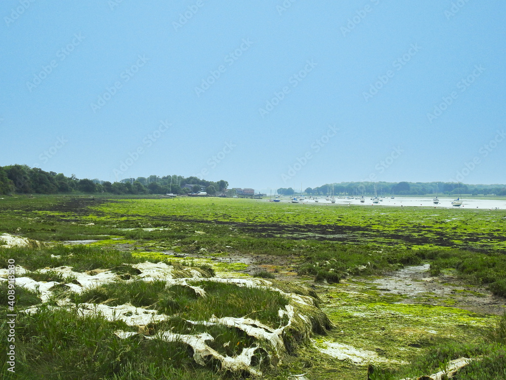 A view of a large flood plain with green water tides