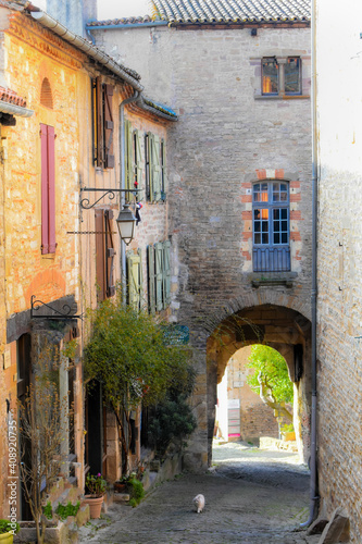 Fototapeta Naklejka Na Ścianę i Meble -  View in the little medieval town of Cordes sur Ciel, France