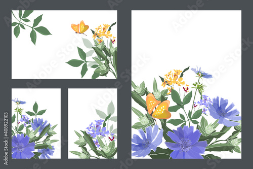 Art floral greeting and business cards. Vector cards with blue chicory, yellow butterflies, green stems and leaves. Blue and yellow small flowers. Vector flowers isolated on a white background.