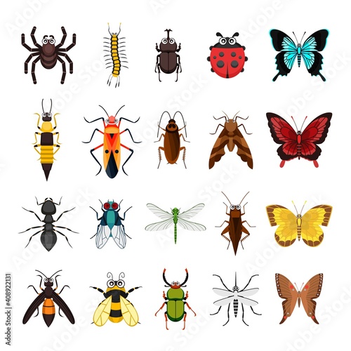 Set of insects animal collection vector illustration isolated on white background © Freshcare